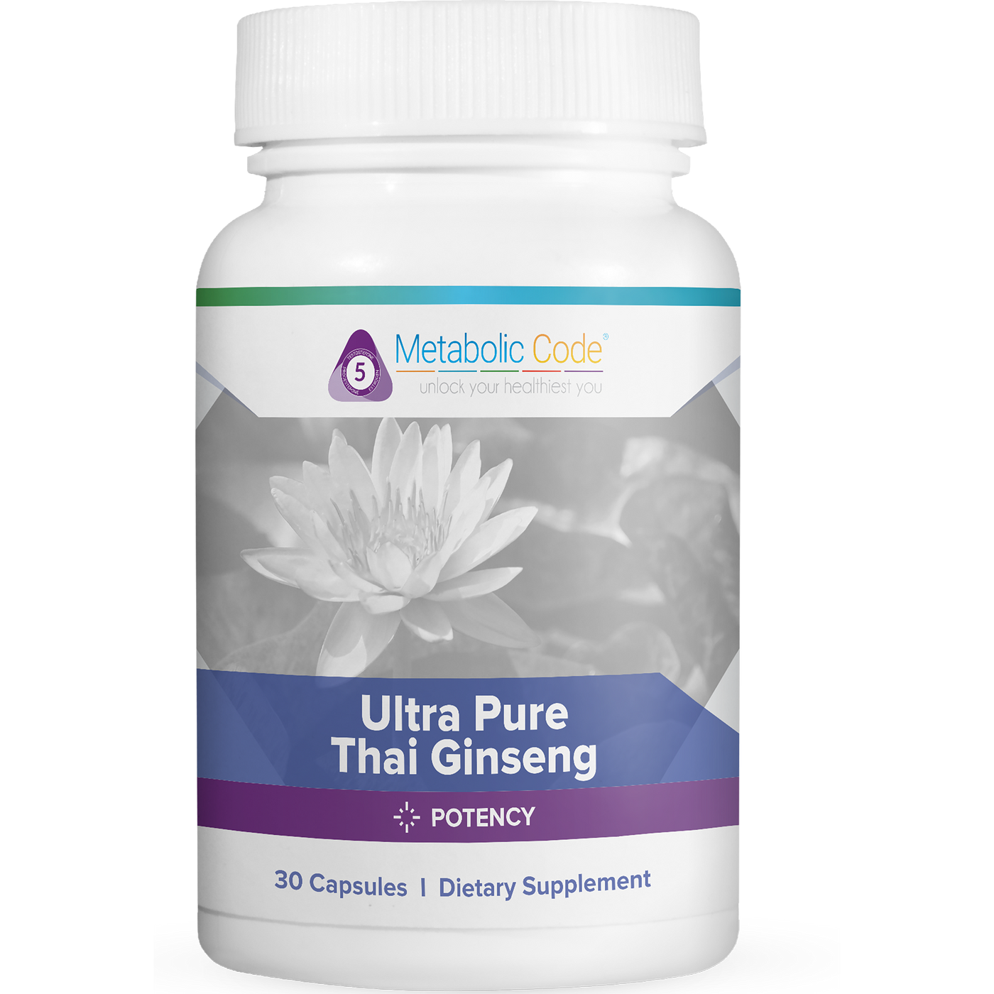 Ultra Pure Thai Ginseng  Curated Wellness
