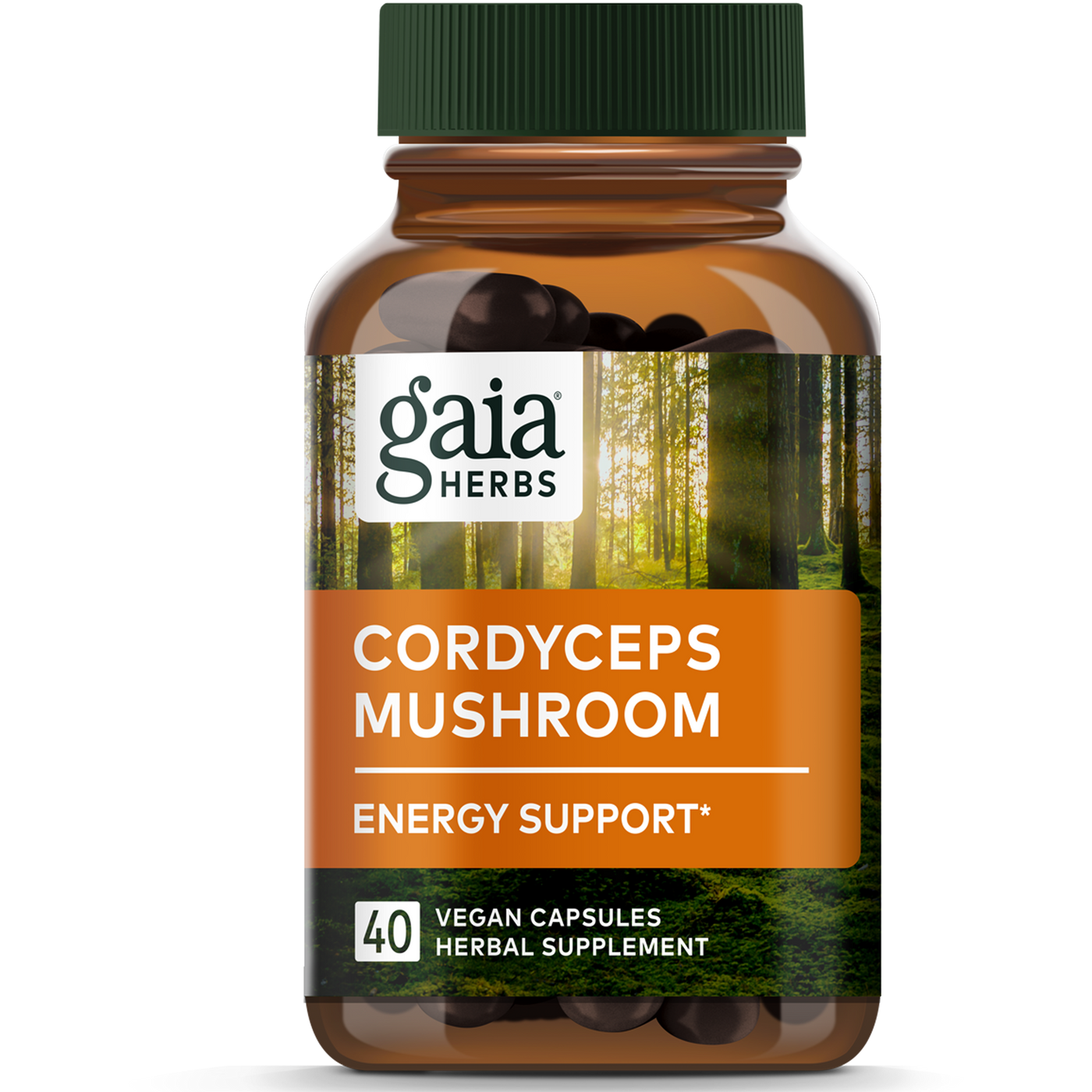 Cordyceps Mushroom  Curated Wellness