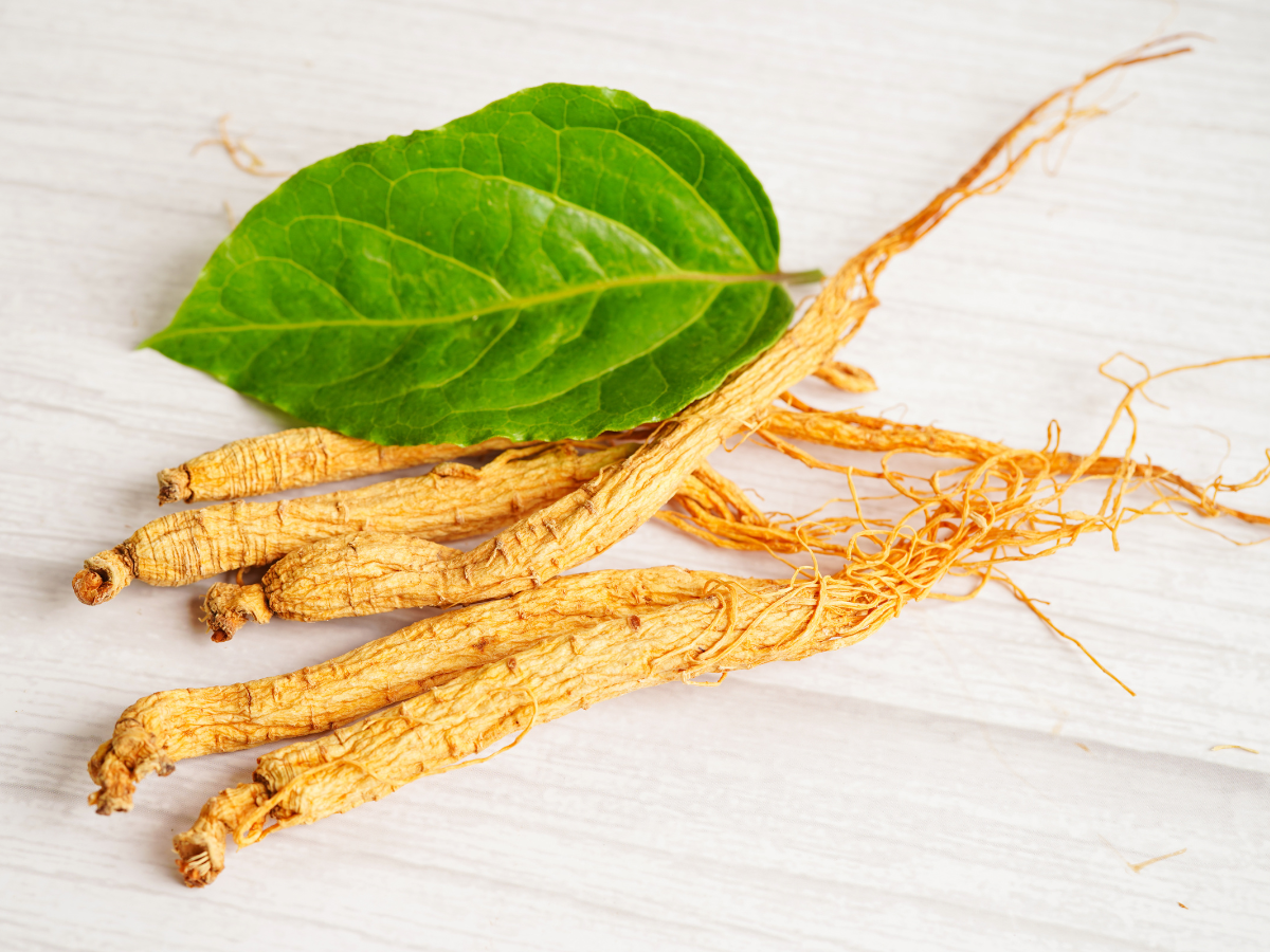 4 Botanicals That Support Healthy GLP-1 Function