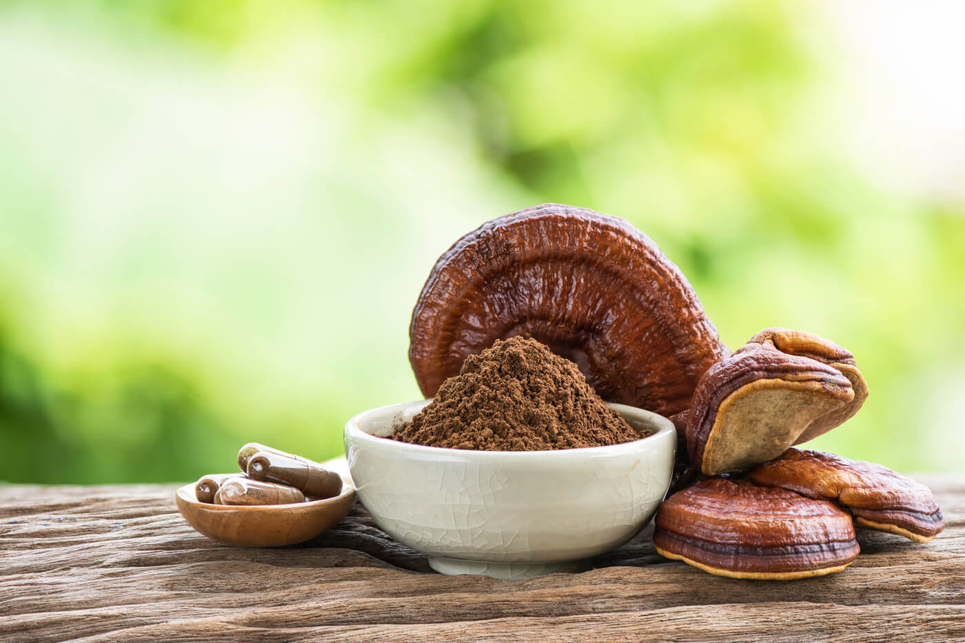 4 Benefits of Reishi Mushroom