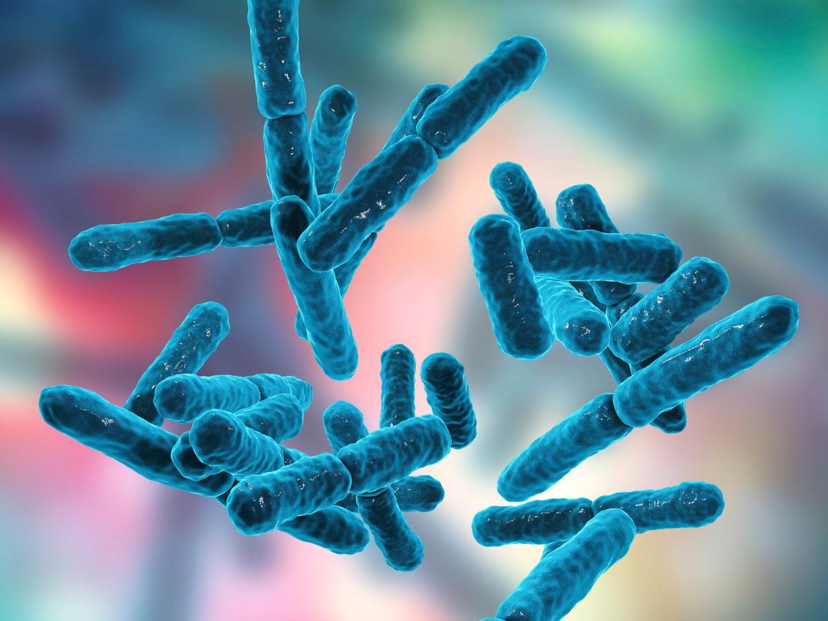 How to Take Probiotics for Maximum Benefits