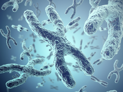 How Much Do Genetics Influence Longevity?