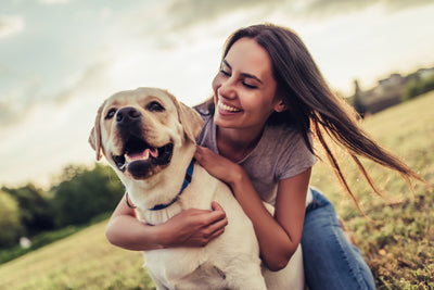 Pet Health | Curated Wellness