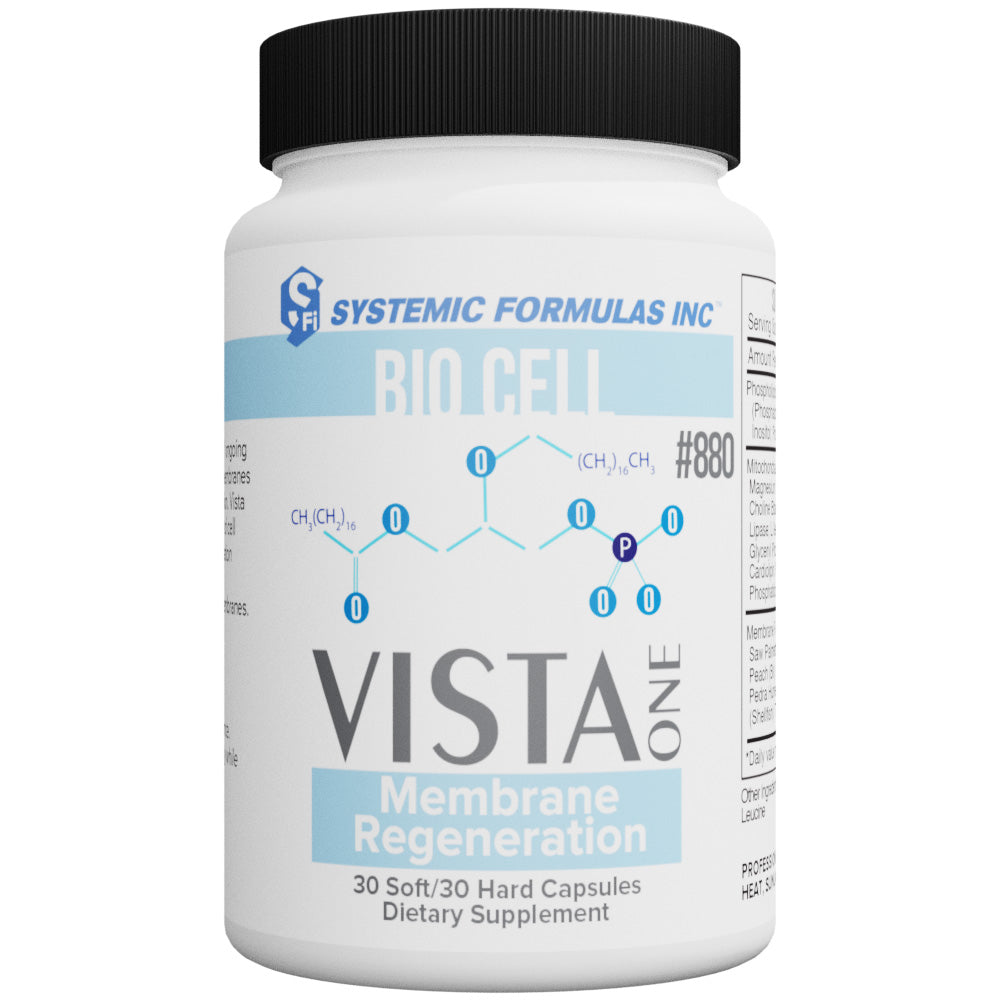 VistaOne