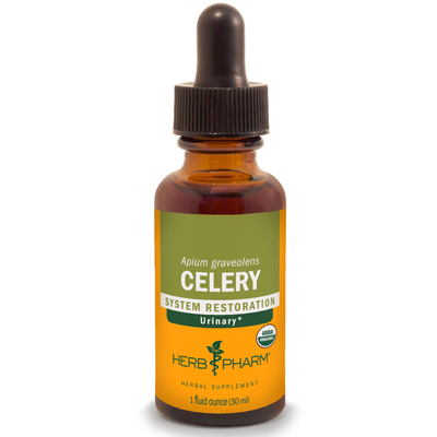 Celery  Curated Wellness