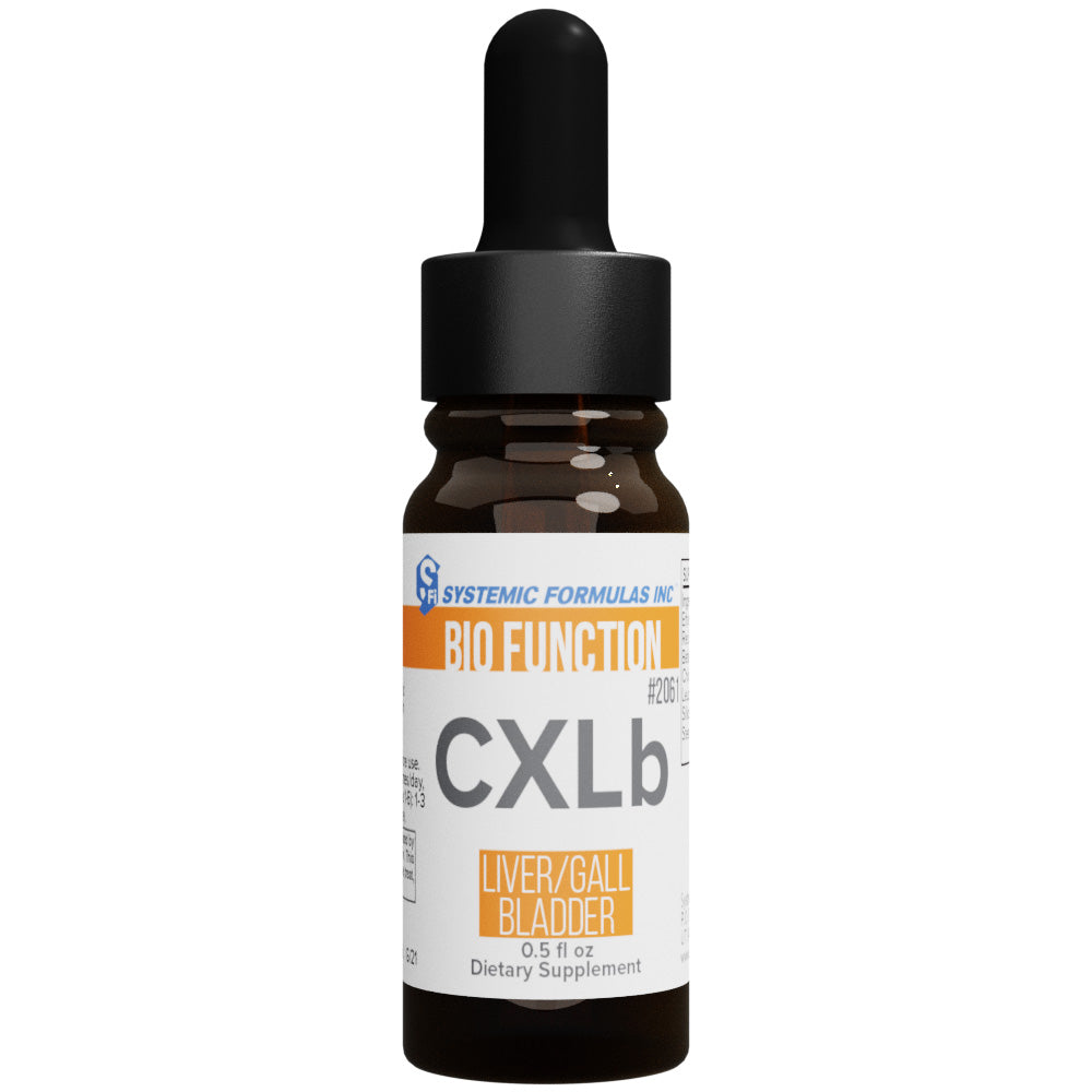 CXLb Liver/Gall Bladder