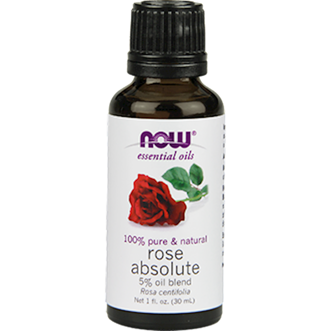 Rose Absolute 5% Blend Oil  Curated Wellness