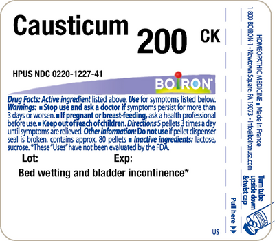 Causticum 200CK 80 plts Curated Wellness