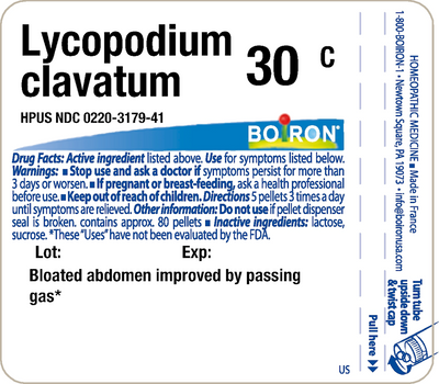 Lycopodium clavatum 30C 80 plts Curated Wellness