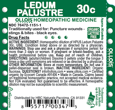 Ledum Palustre 30c Pellets, 80ct Curated Wellness