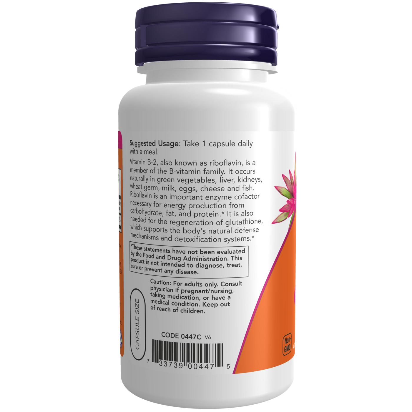 B2 100 mg  Curated Wellness