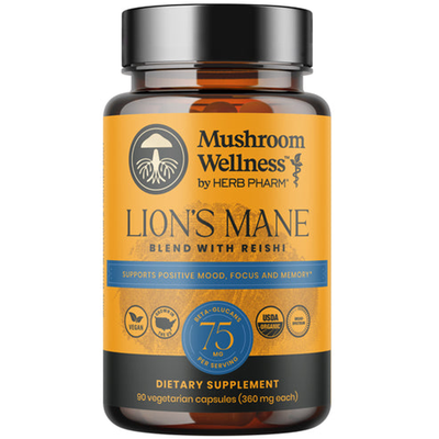 Lion's Mane Blend with Reishi c Curated Wellness