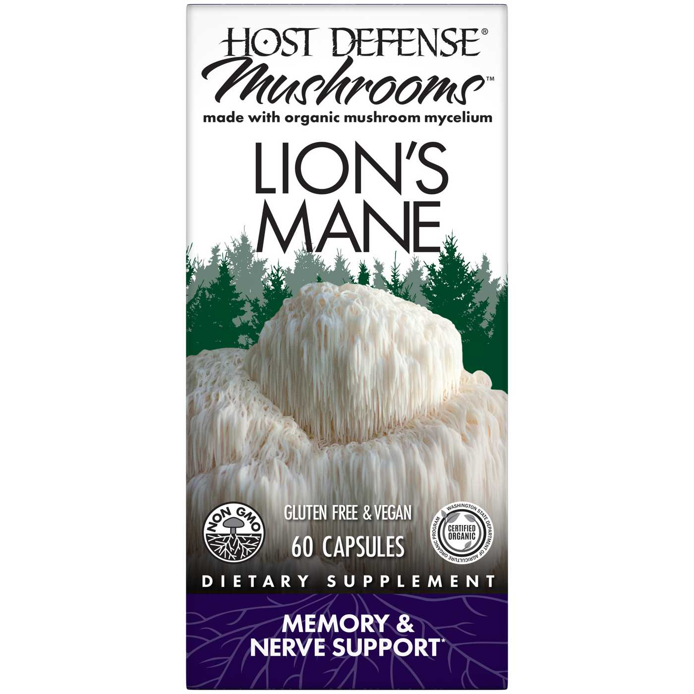 Lion's Mane Capsules  Curated Wellness