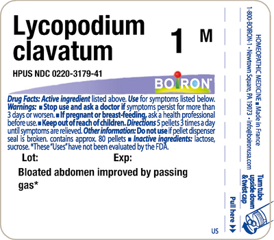 Lycopodium clavatum 1M 80 plts Curated Wellness