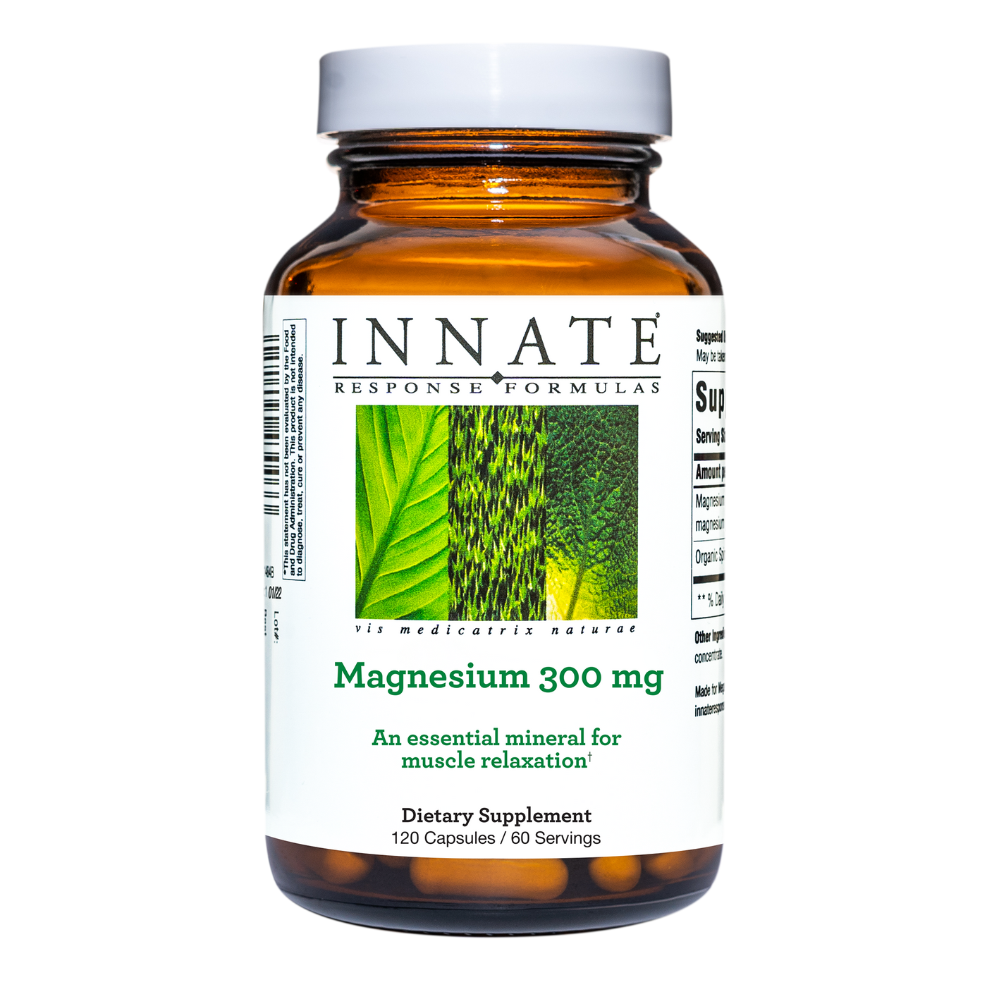 Magnesium 300 mg  Curated Wellness