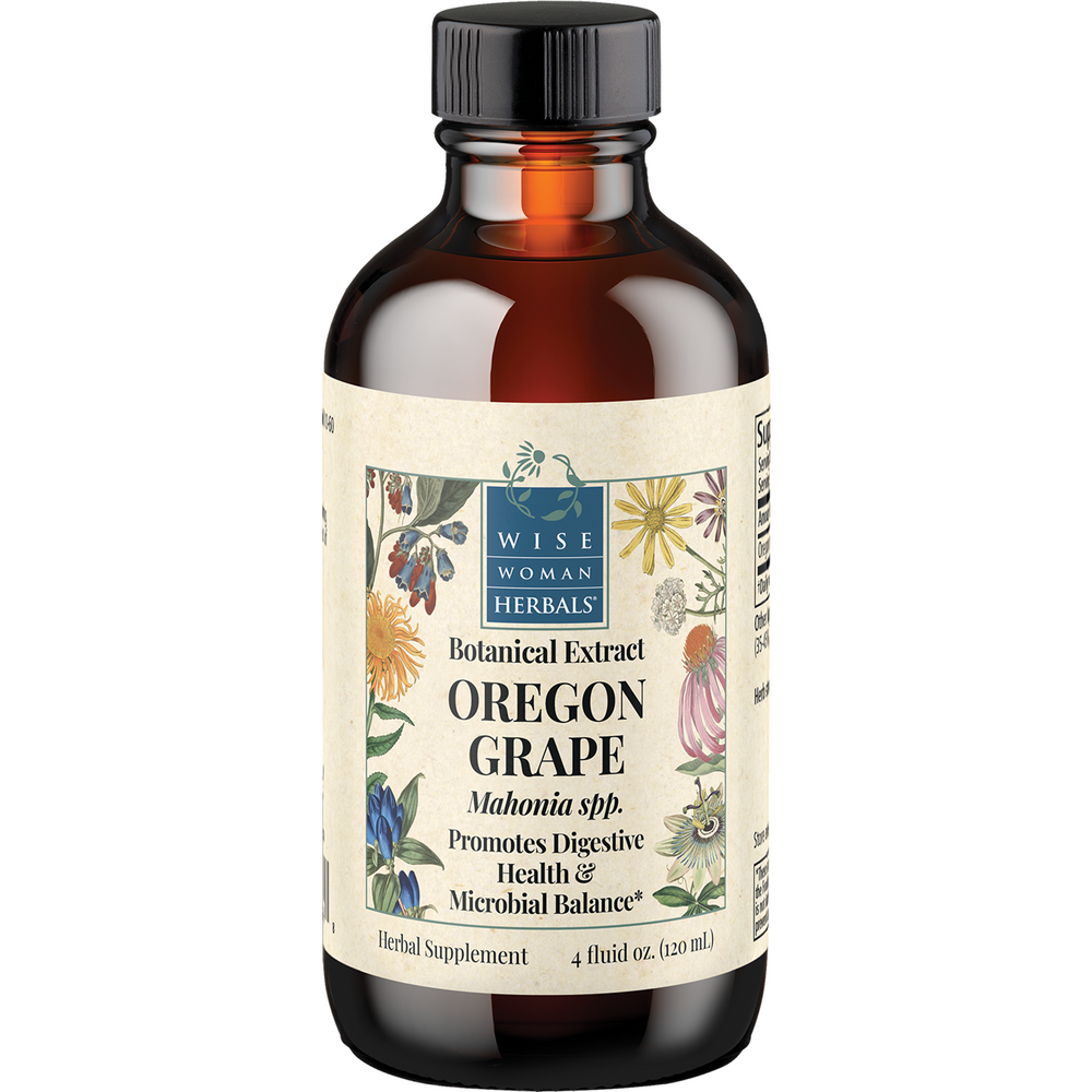  Mahonia spp. - Oregon grape Curated Wellness