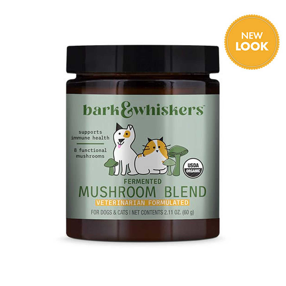  Fermented Mushroom Blend Curated Wellness