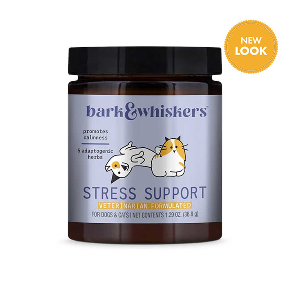  Stress Support Curated Wellness