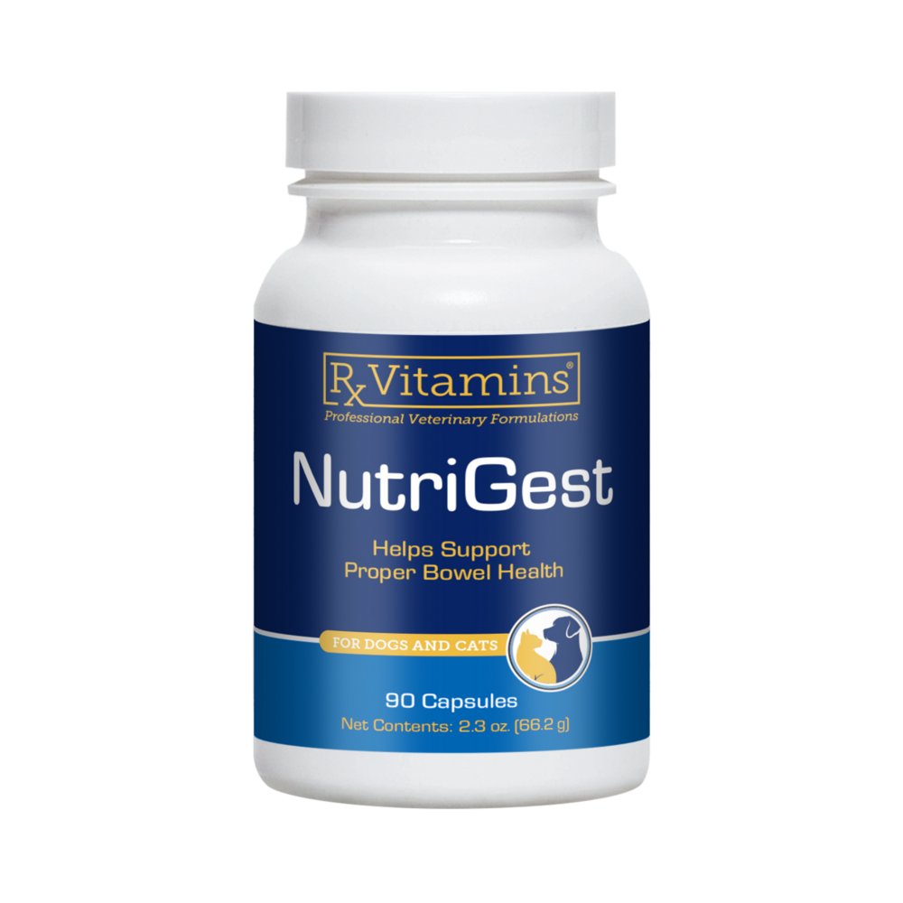 NutriGest for Dogs & Cats Caps  Curated Wellness