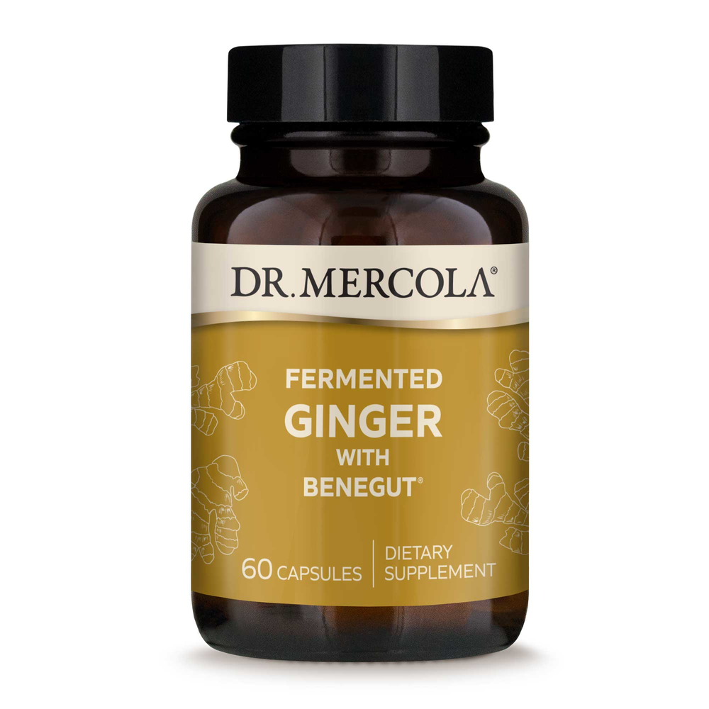  Fermented Ginger Curated Wellness