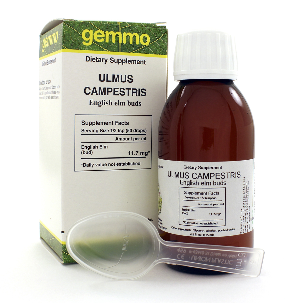 Ulmus Campestris 4.2 oz