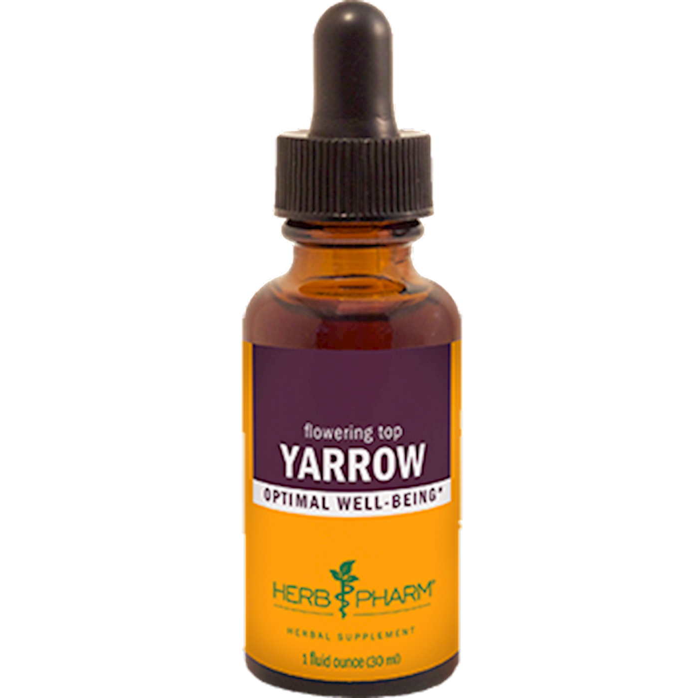 Yarrow  Curated Wellness