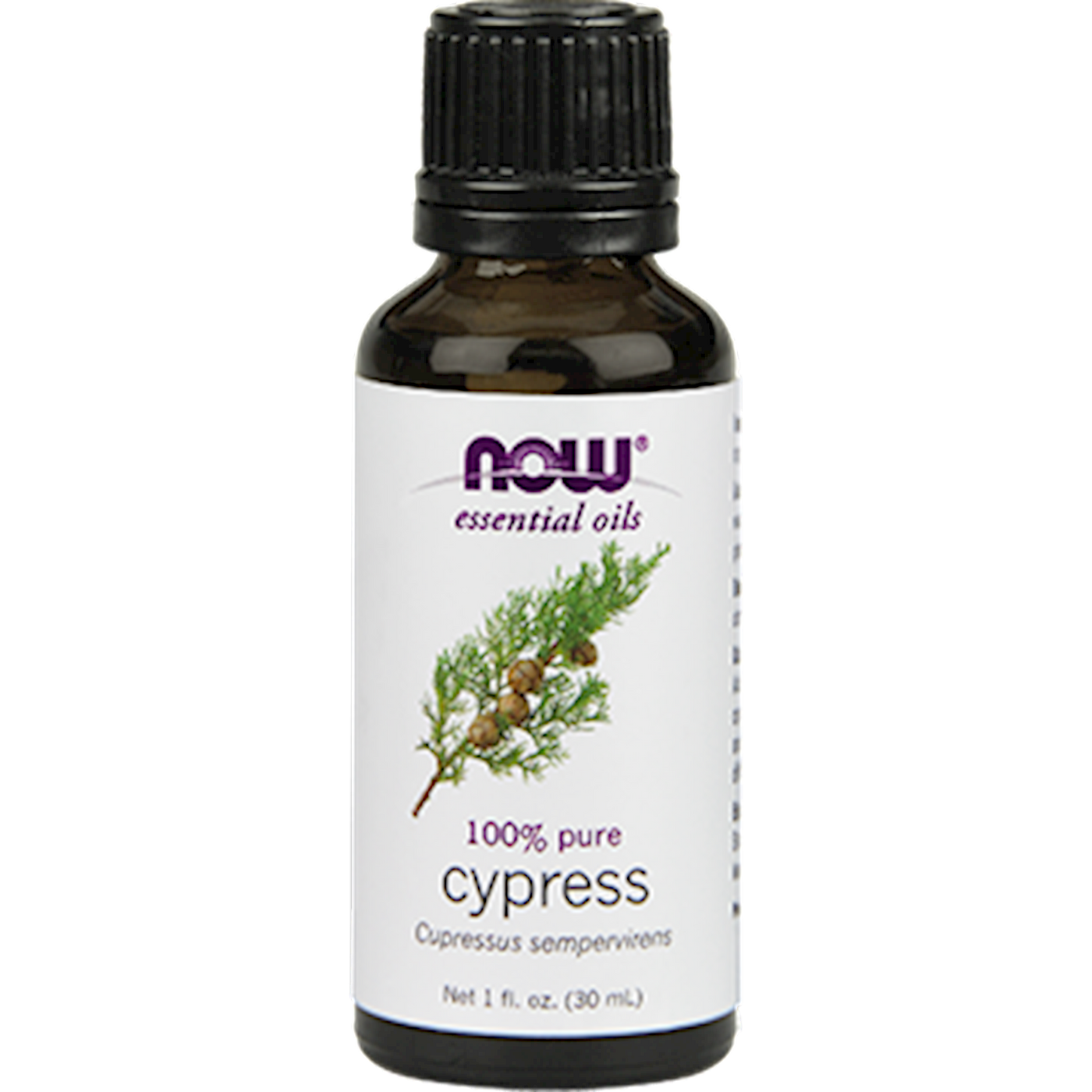 Cypress Oil  Curated Wellness