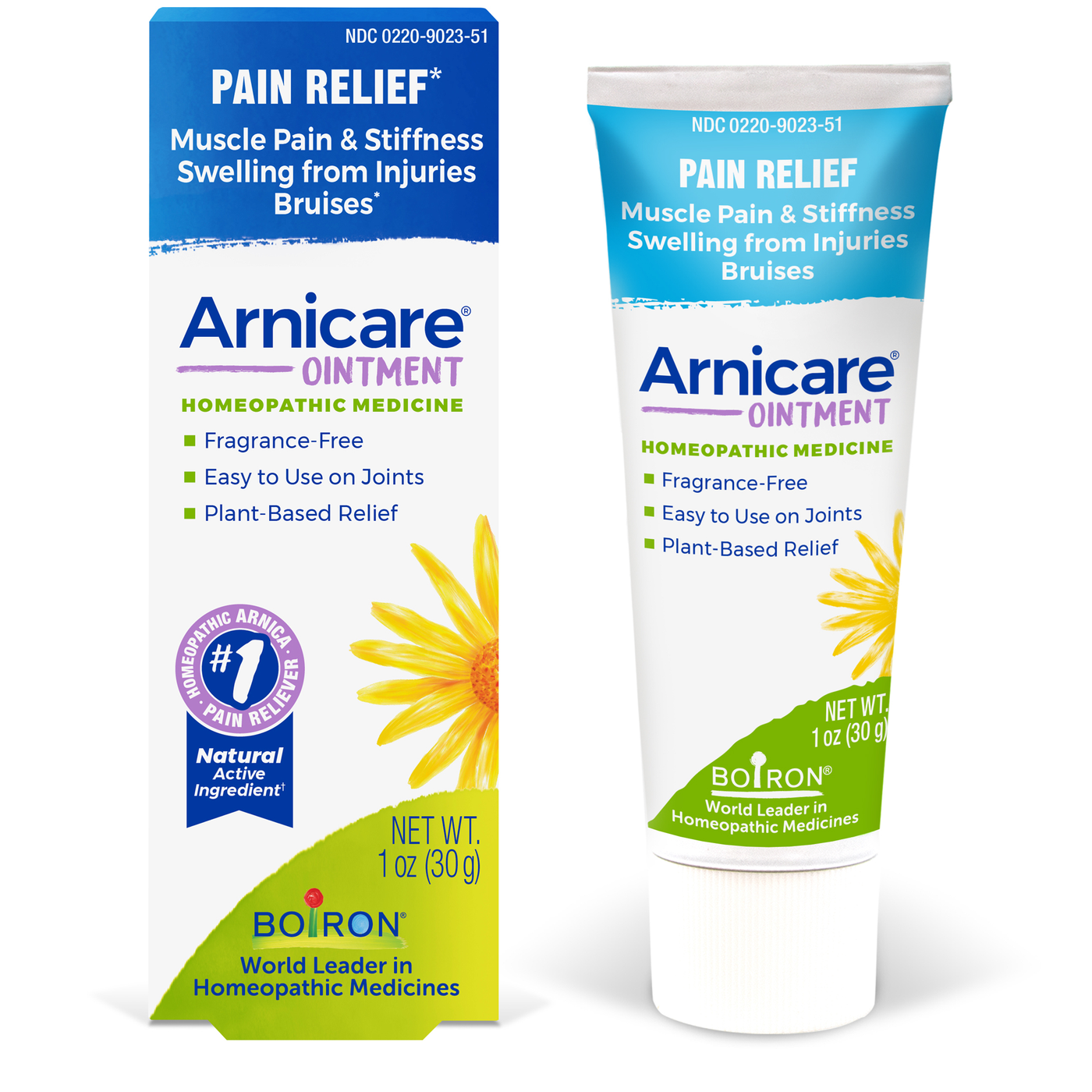 Arnicare Ointment  Curated Wellness