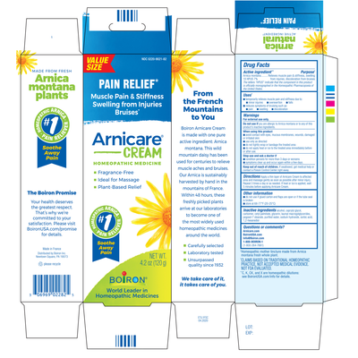 Arnicare Cream  Curated Wellness