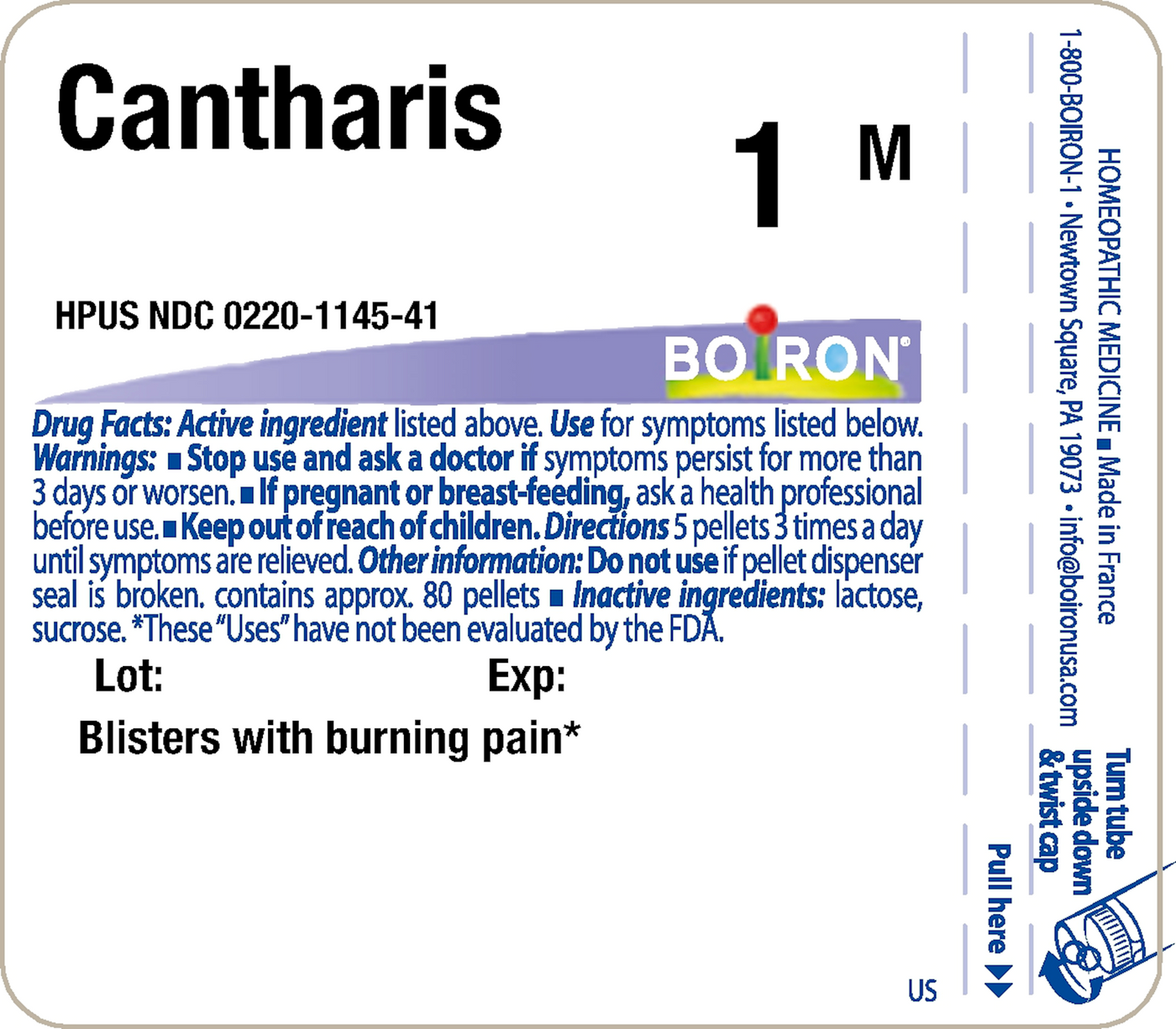 Cantharis 1M 80 plts Curated Wellness