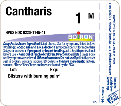 Cantharis 1M 80 plts Curated Wellness