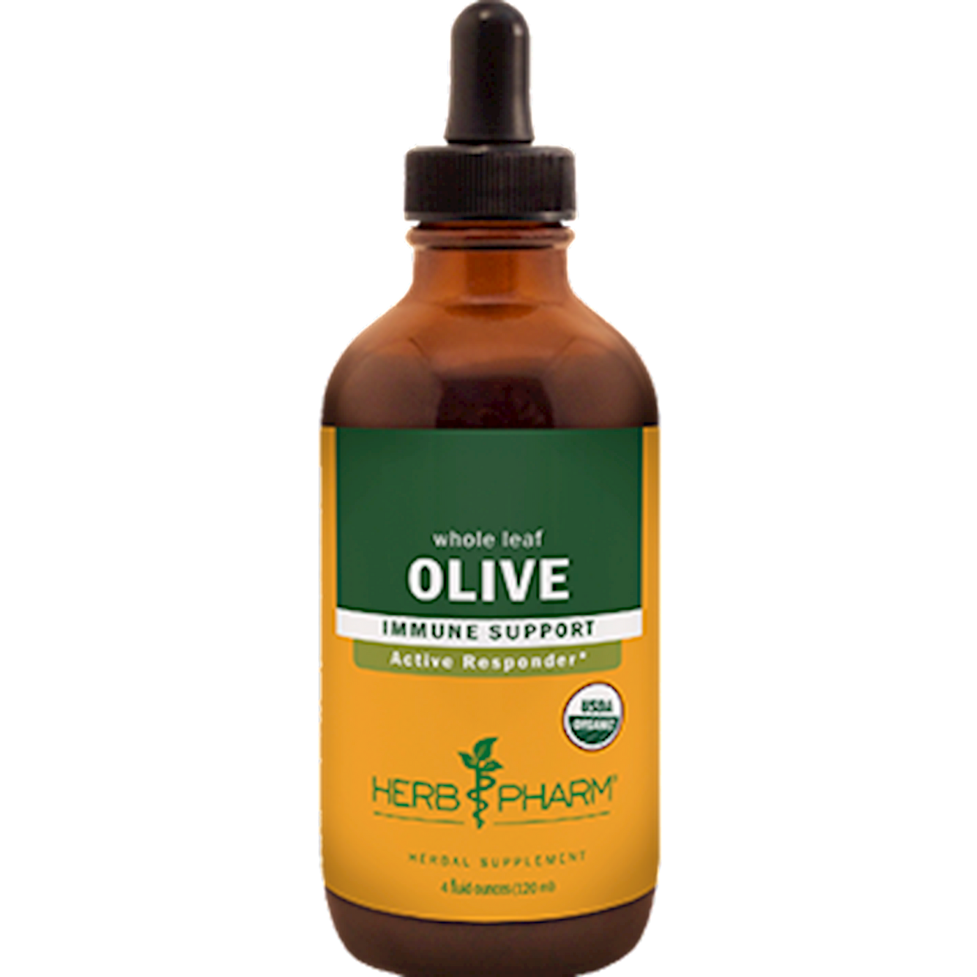 Olive Leaf  Curated Wellness