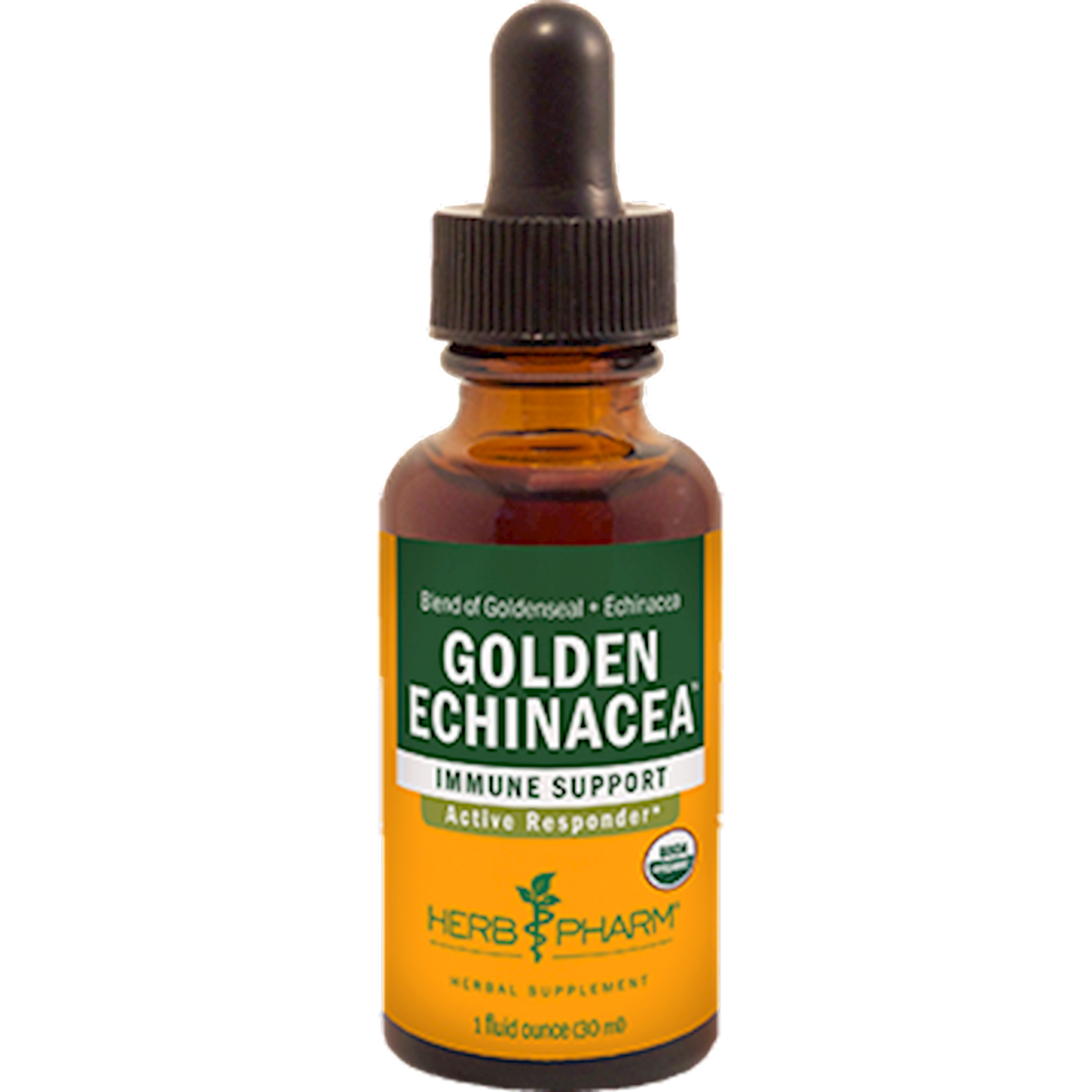 Golden Echinacea  Curated Wellness
