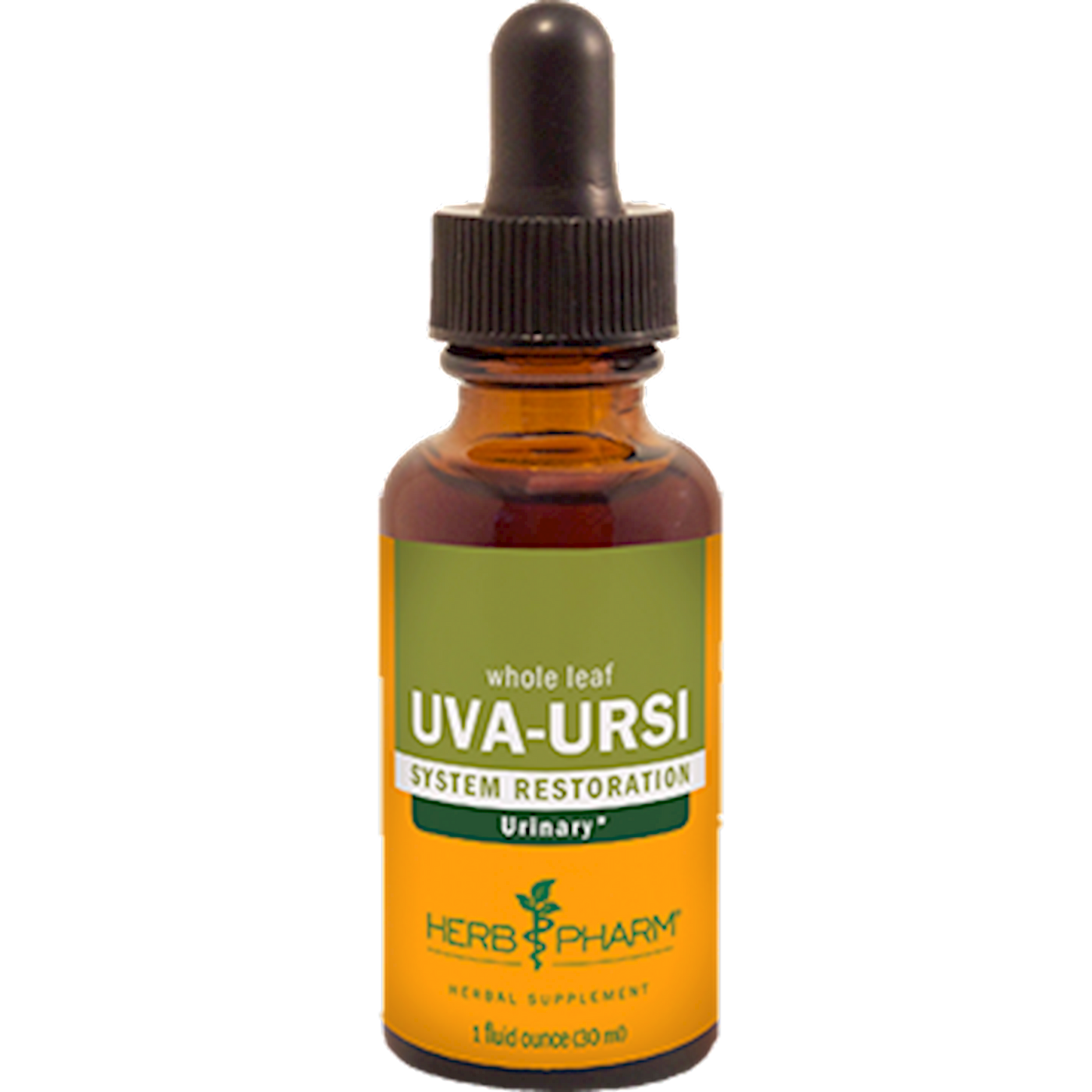 Uva-Ursi  Curated Wellness