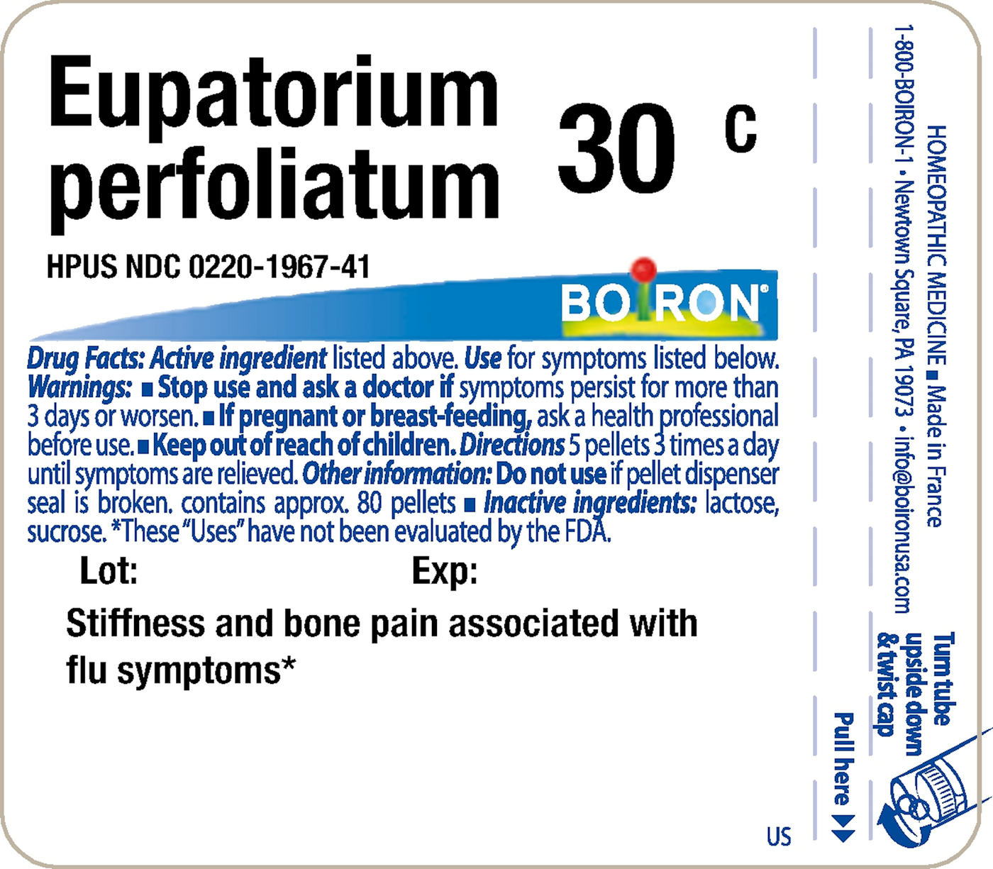 Eupatorium perfoliatum 30C 80 plts Curated Wellness