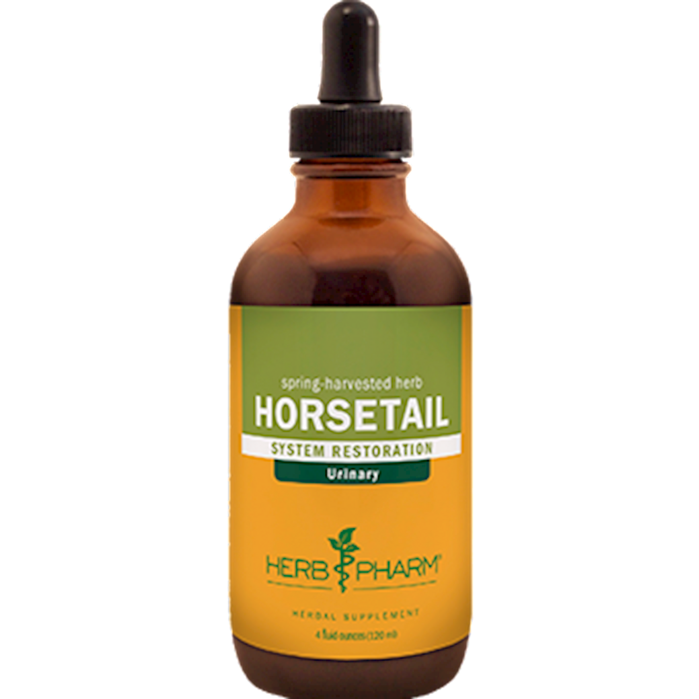 Horsetail  Curated Wellness