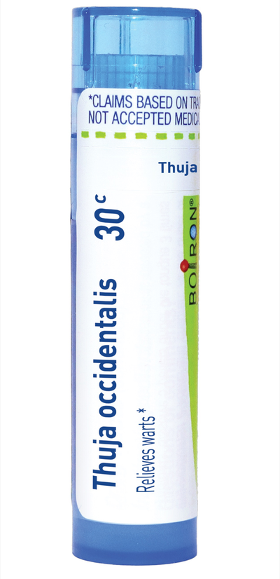 Thuja occidentalis 30C 80 plts Curated Wellness