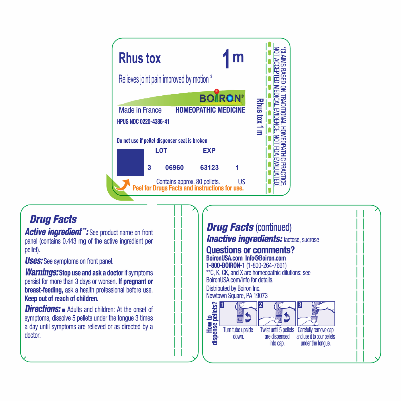 Rhus toxicodendron 1M 80 plts Curated Wellness