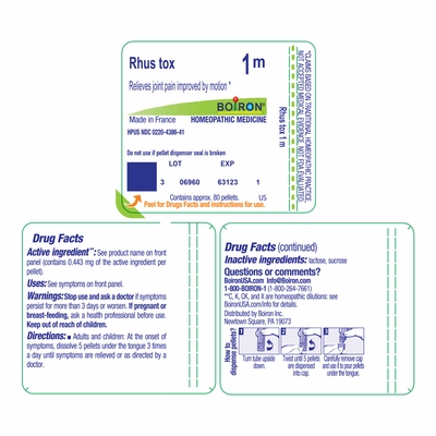 Rhus toxicodendron 1M 80 plts Curated Wellness