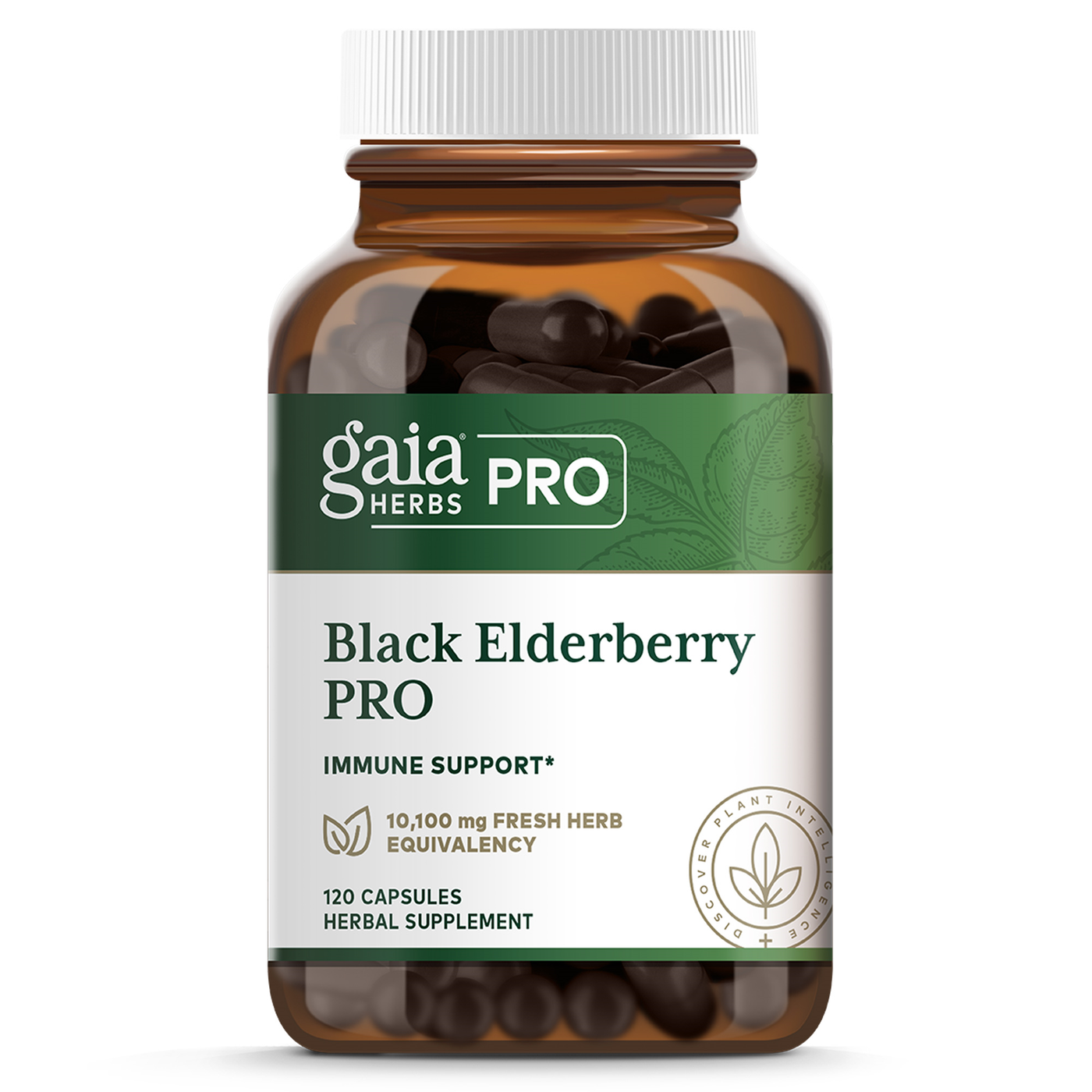 Black Elderberry PRO  Curated Wellness