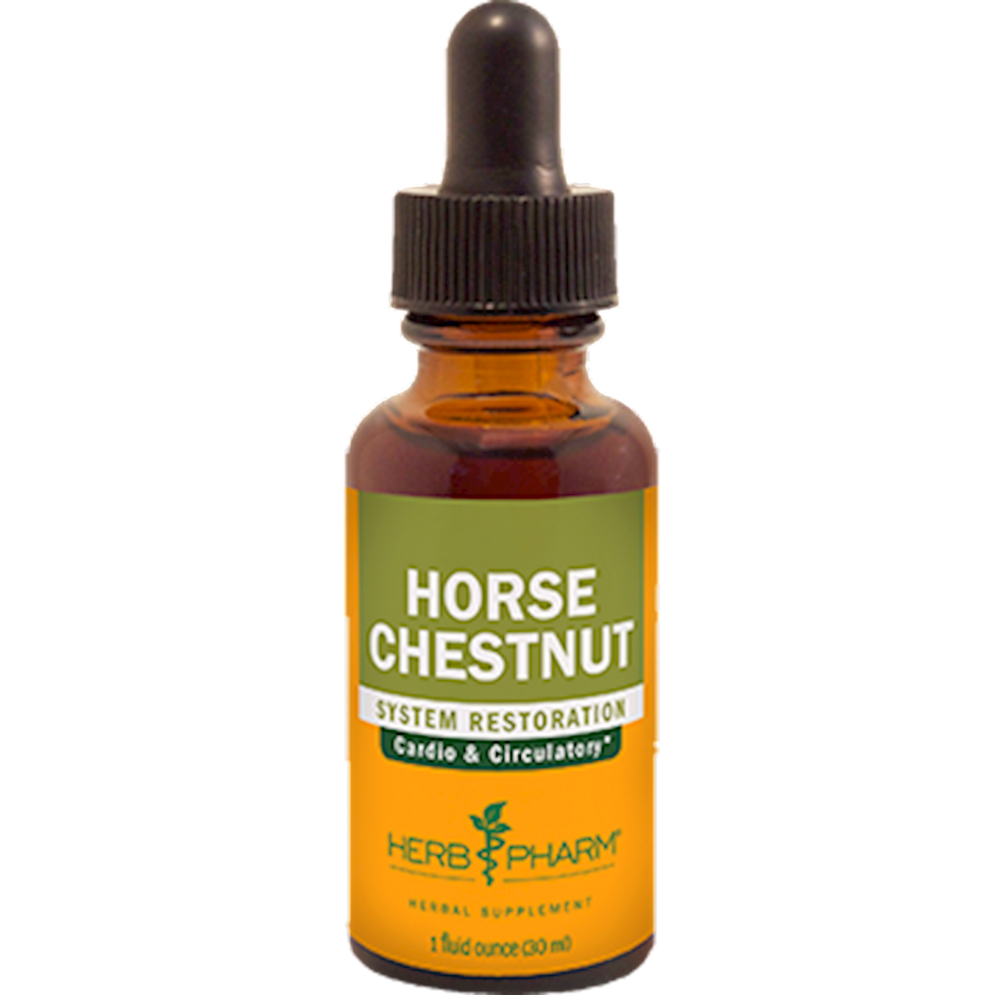Horse Chestnut  Curated Wellness