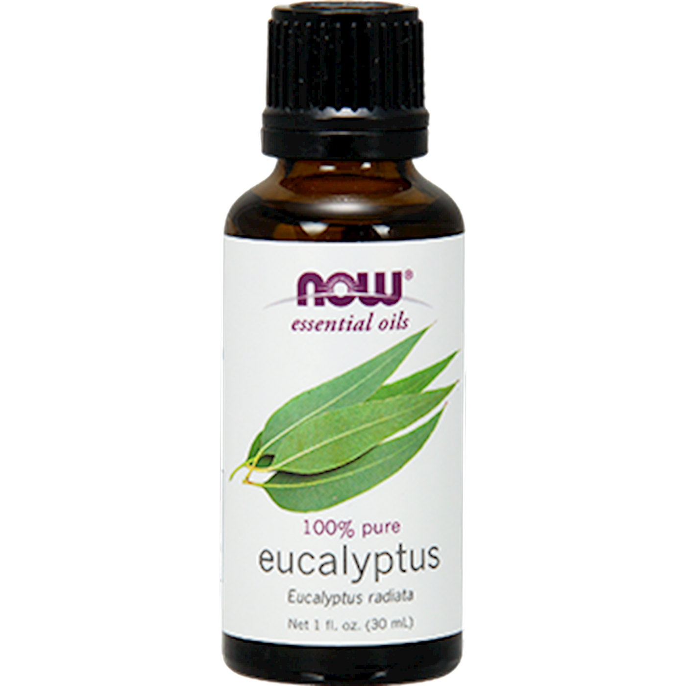 Eucalyptus Radiata 1 fl oz Curated Wellness