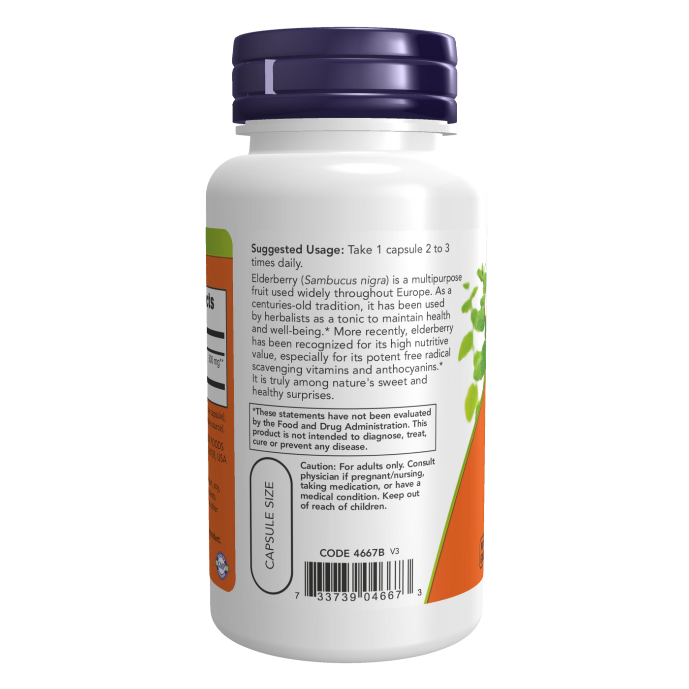 Elderberry Extract 500 mg  Curated Wellness