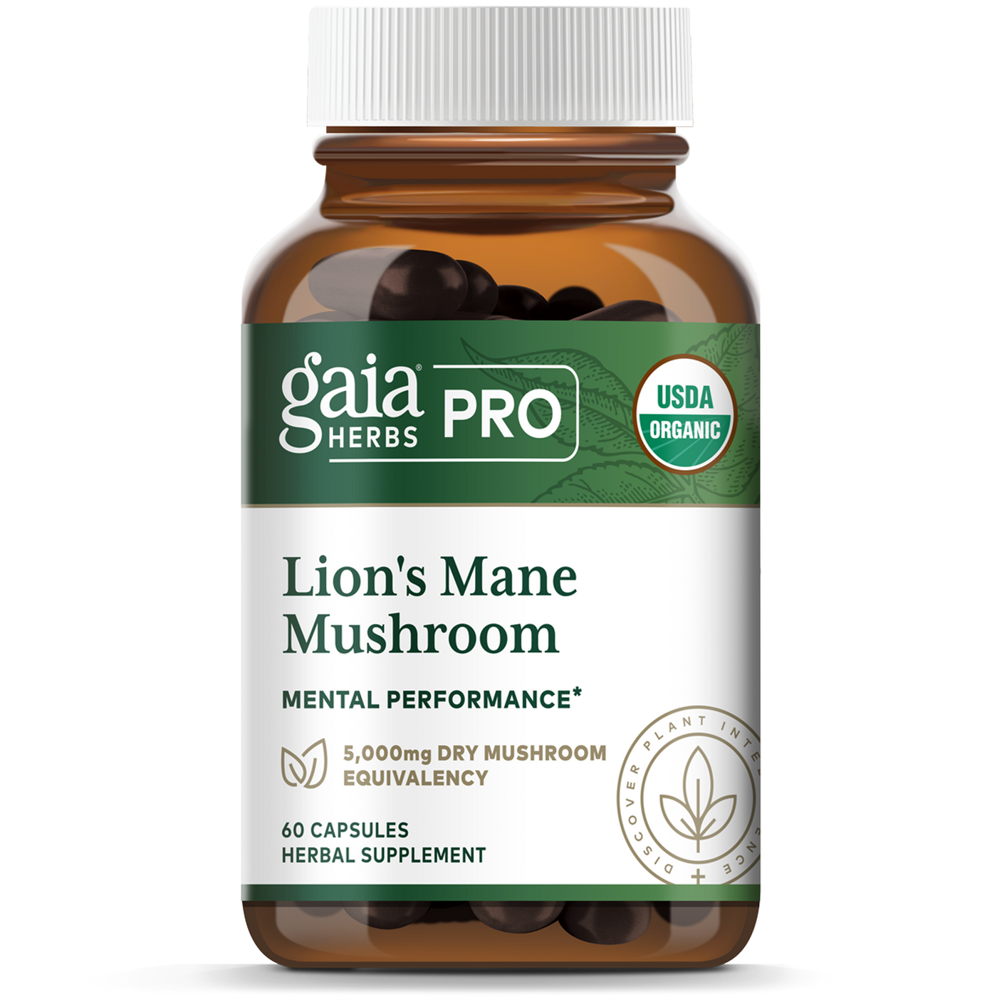 Lion's Mane Mushroom  Curated Wellness