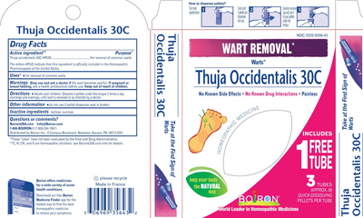 Thuja occidentalis 30C 80 plts Curated Wellness
