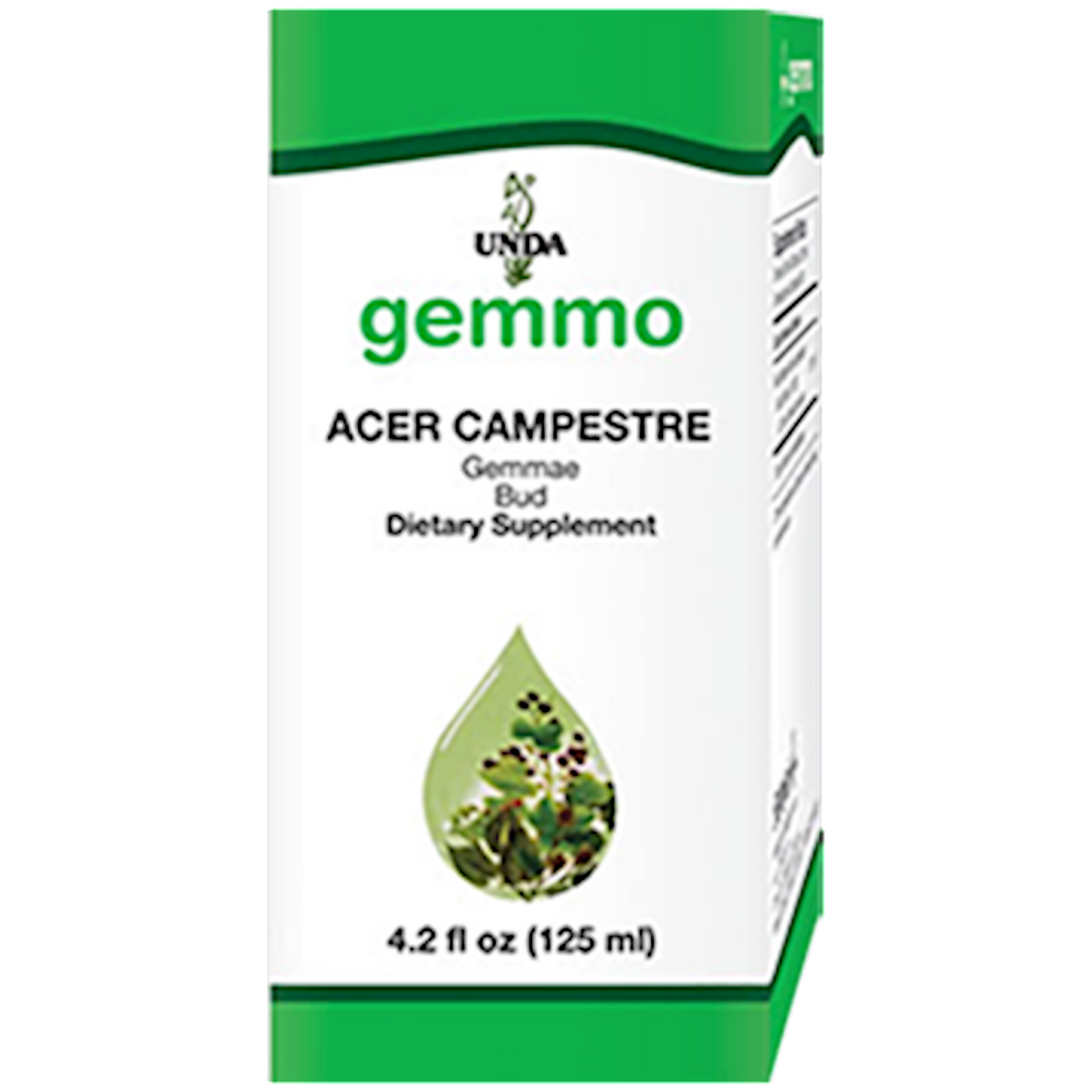 Acer Campestre 4.2 fl oz Curated Wellness