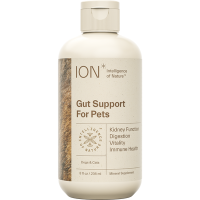 ION* Gut Support for Pets 8 fl oz Curated Wellness