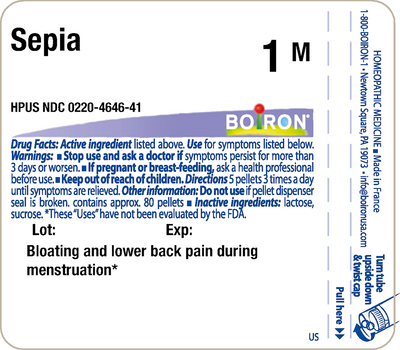 Sepia 1M 80 plts Curated Wellness