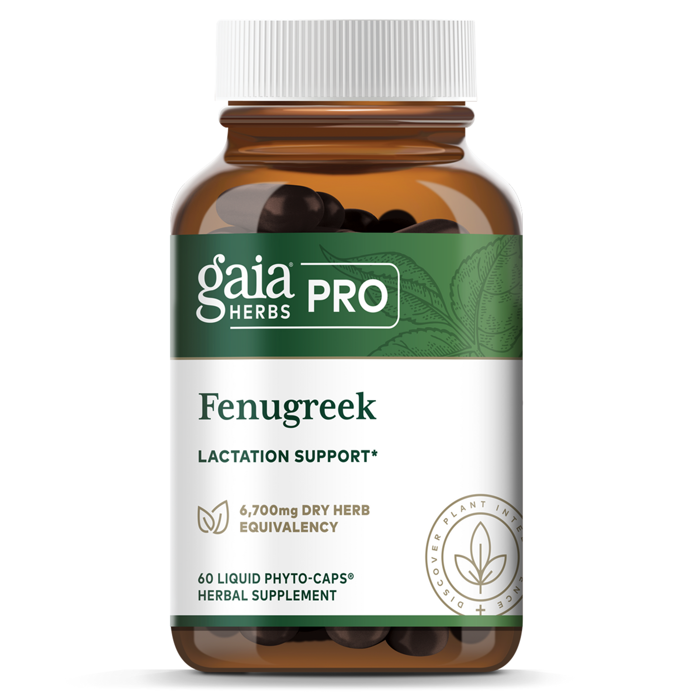 FenuGreek  Curated Wellness