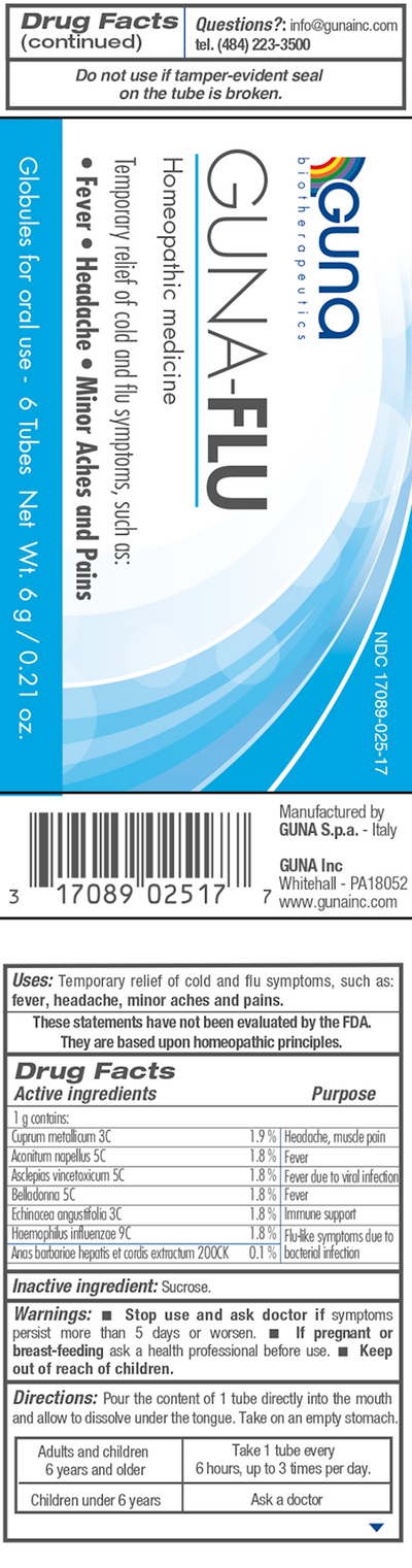 GUNA-Flu (6 Tubes) 6 g Curated Wellness